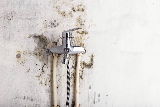 Best Office Mold Removal Services  in Leeds, AL